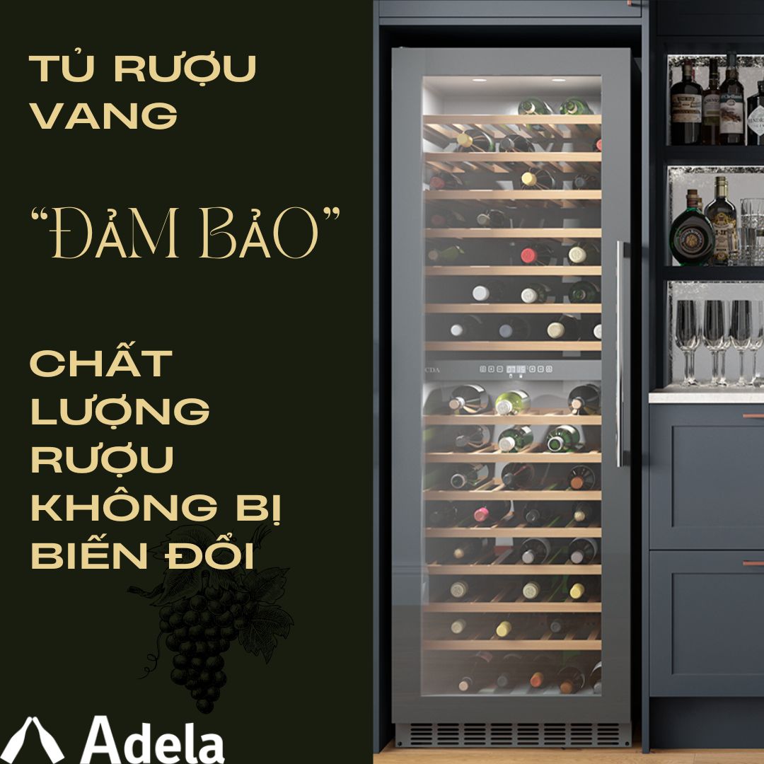 tủ rượu vang là gì